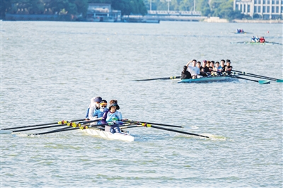 每年都来看, tenan, 我们特别期