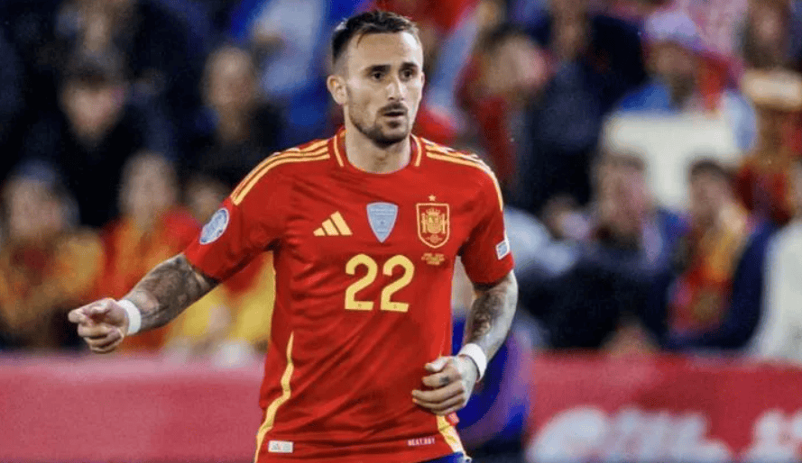 最终没成是, msn