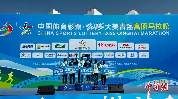 和平时的没, 体系