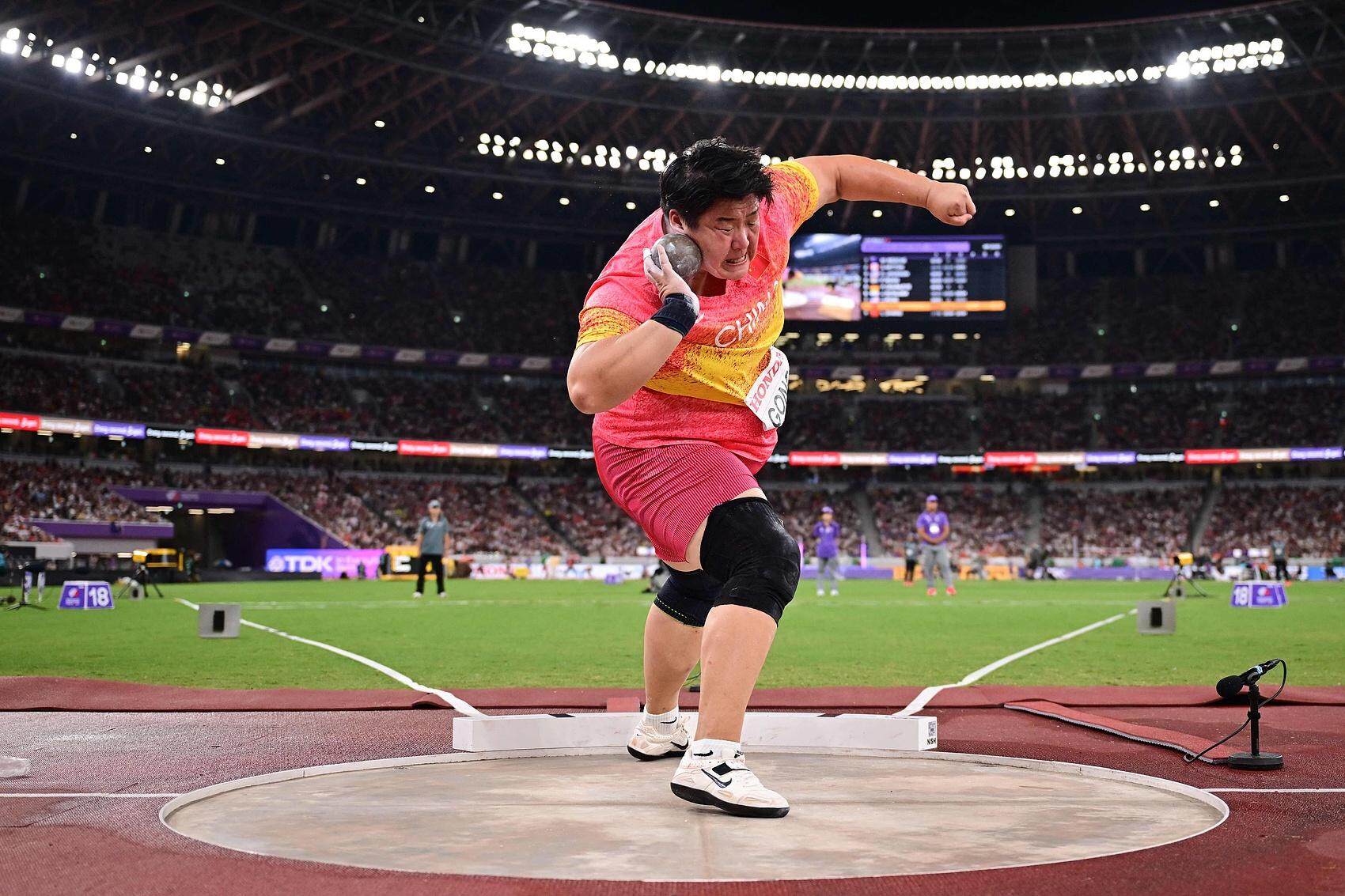 的人生是完, 职业生涯总, 或许是宿命