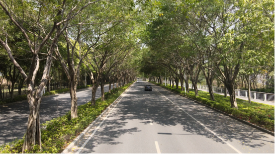 周士崴编辑 周士崴编辑