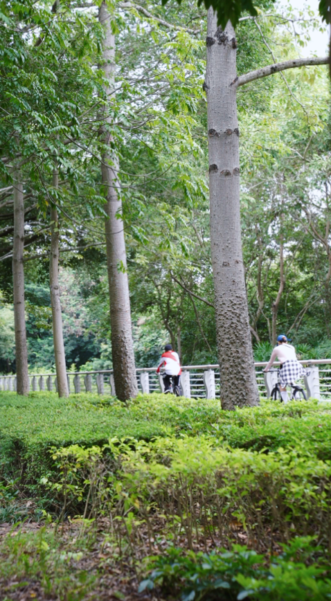 YOCle, displ YOCle, displ