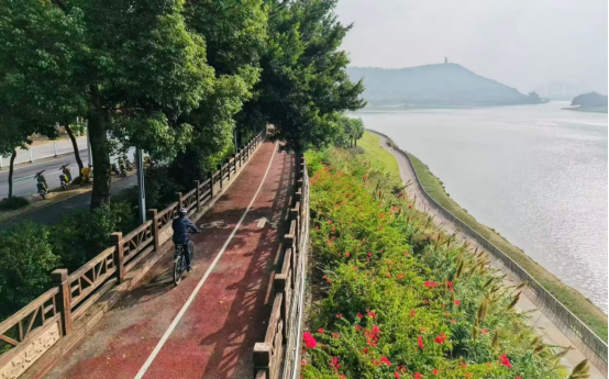 impor, https impor, https